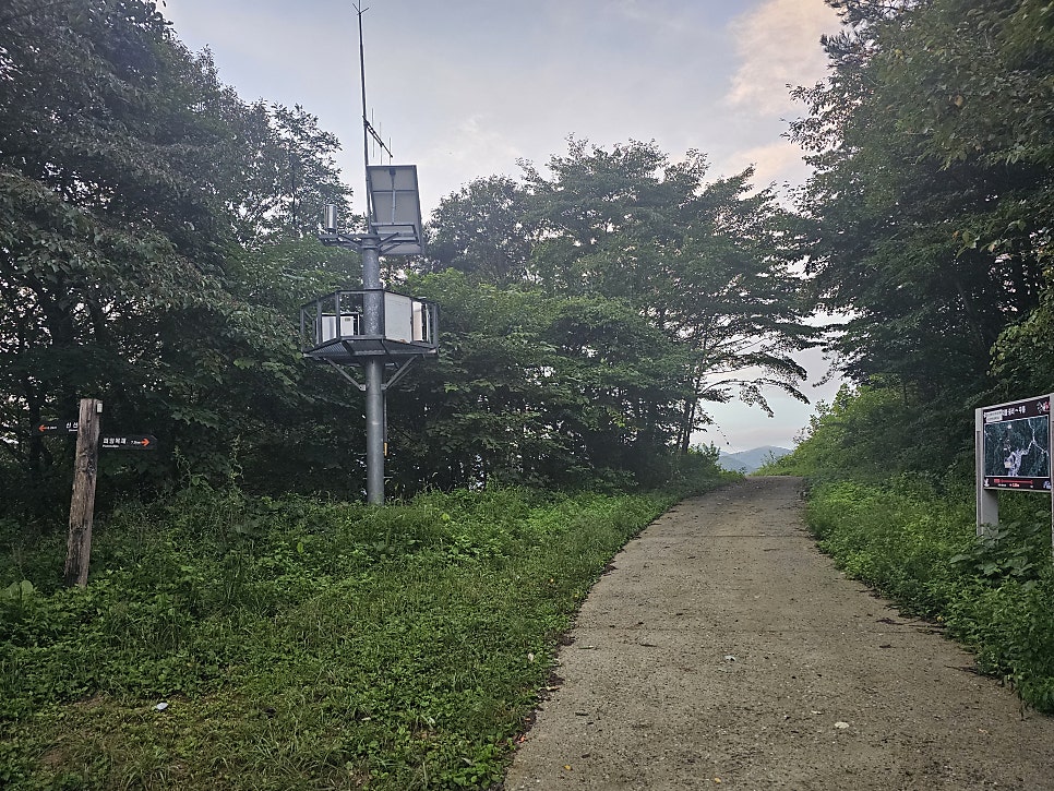 말골 사진 4