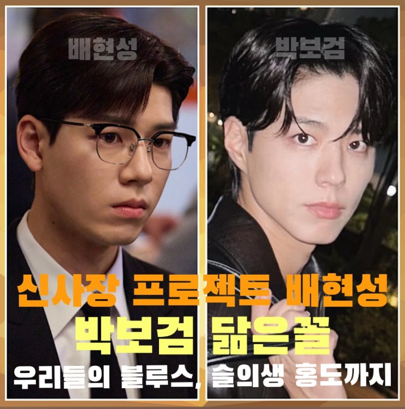 신사장 프로젝트 필립역 배현성 박보검 닮은꼴과 우리들의 블루스 슬기로운 의사생활 장홍....