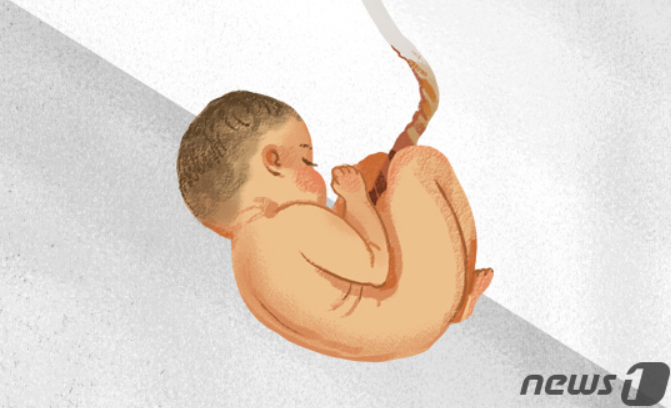  '36주 태아 낙태'…병원장·집도의, 첫 재판서 살인 혐의 인정 ️
