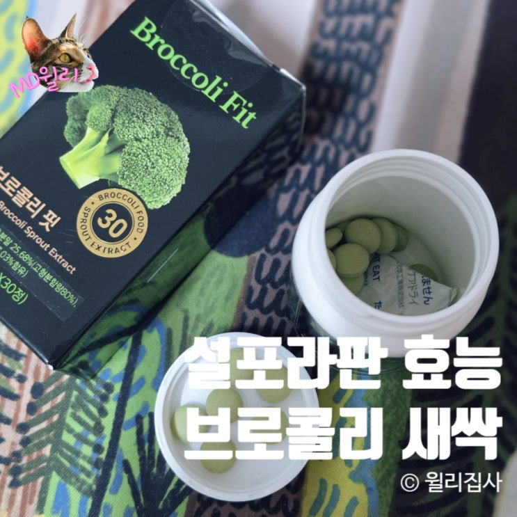  설포라판 브로콜리새싹 브로콜리핏 효능 및 섭취 방법