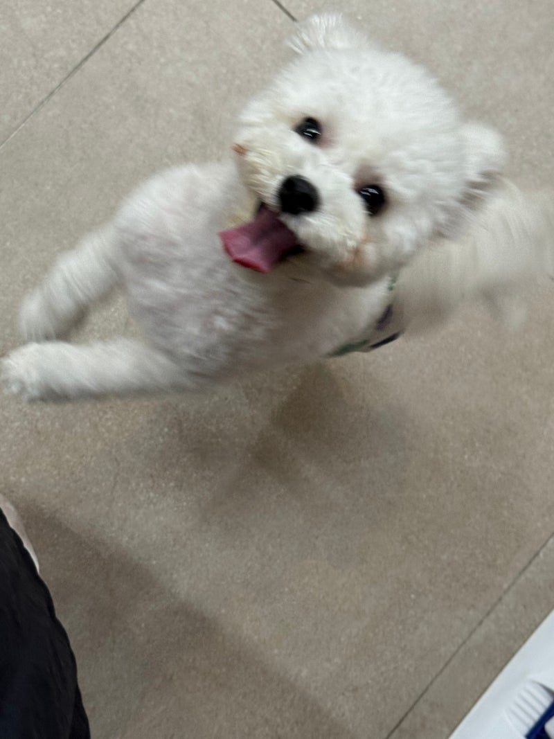 사진 4