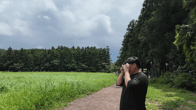  제주 감성 명소 안돌오름 비밀의 숲 힐링코스로 추천!