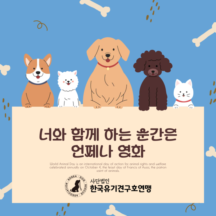  유기견구호연맹 과 함께 만드는 따뜻한 변화