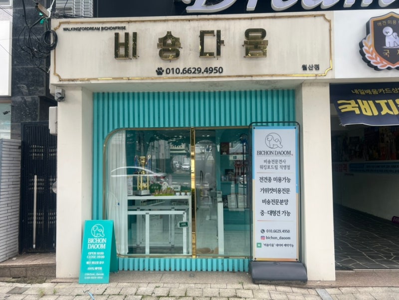 뭉뭉이랜드 애견유치원 애견미용