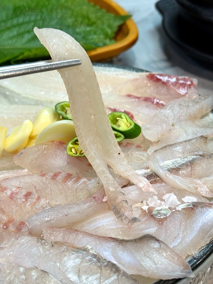  대구 달서구 월배 맛집 신선한 자연산 가자미회 동해횟집 진천역 술집