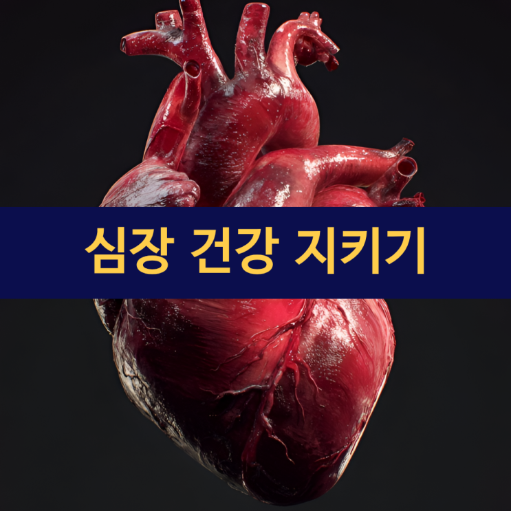  심장 건강 지키기 위한 생활 수칙 | 매일 실천하는 작은 습관이 당신의 심장을 20년 더 젊게 만든다