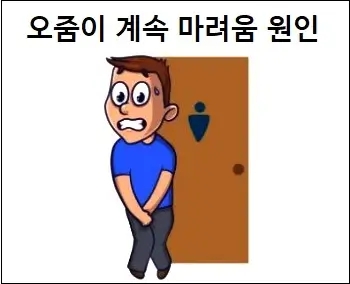 오줌이 계속 마려움 원인과 관리법 상세 설명
