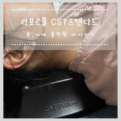  라포르몰 CST 스탠다드 목, 어깨 블럭형 마사지기