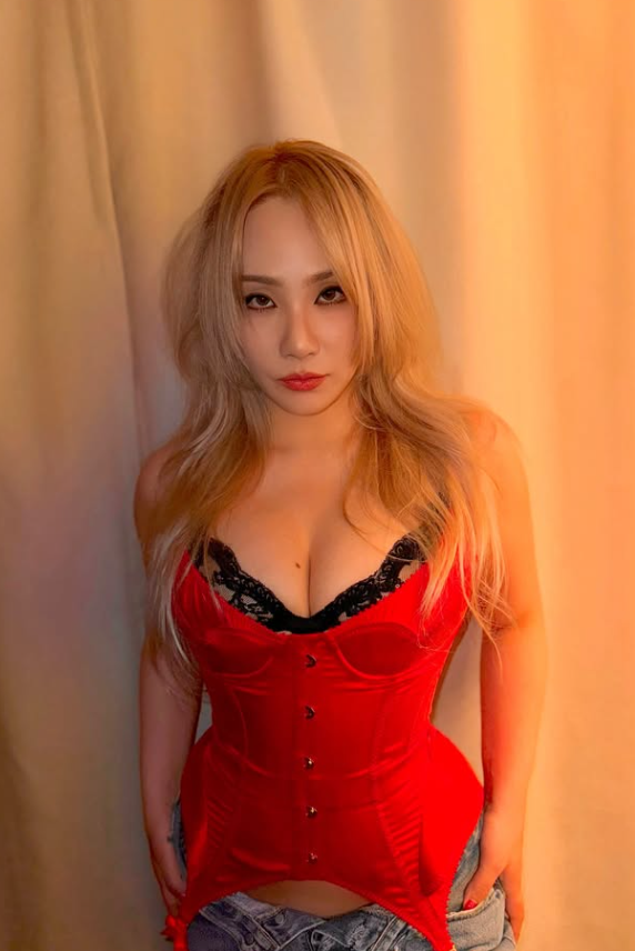 2NE1 <b>씨엘</b>(CL)마저… '1인 <b>기획사</b> <b>미등록</b>', 계도기간 이후에는... 