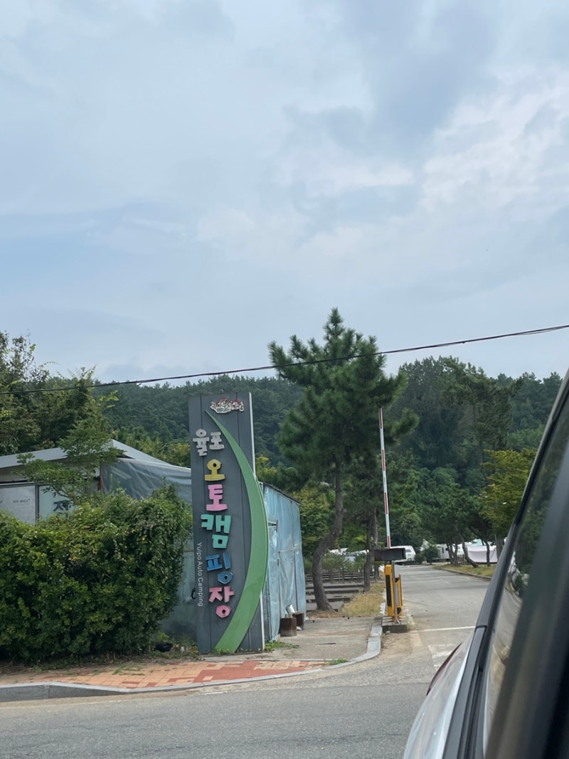 보성) 보성 율포오토캠핑장 다향,미향 내돈내산 후기