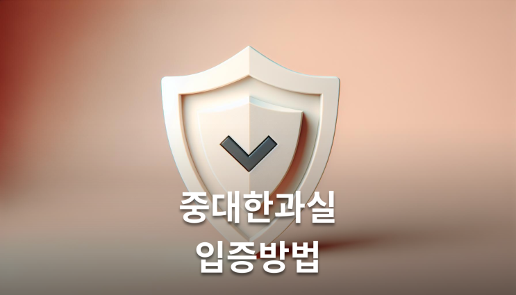  특별한정승인 신청조건 채무초과입증 확인해야 할 핵심사항