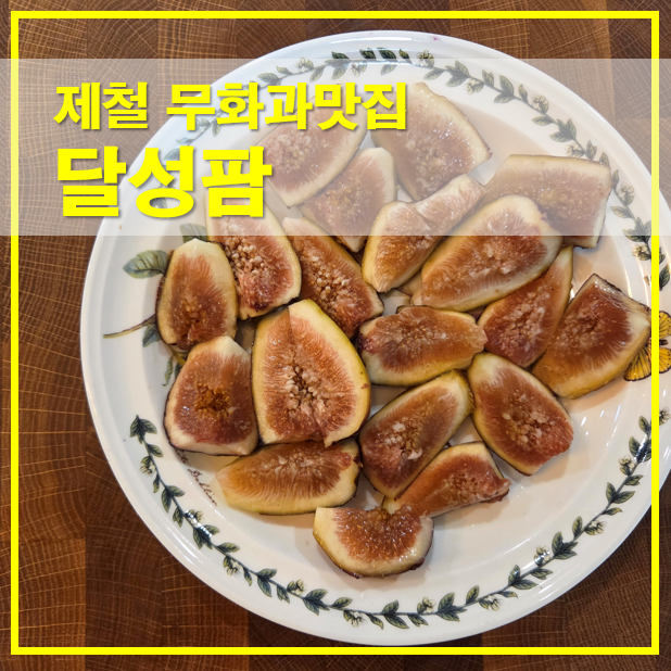  무화과맛집 달성팜 제철 무화과 효능 먹는법 보관법 꿀팁 총정리