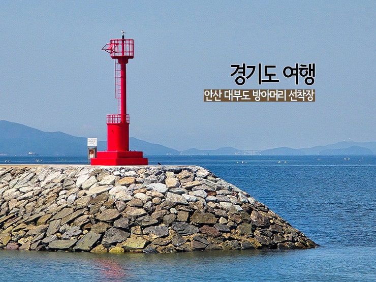 사진 3