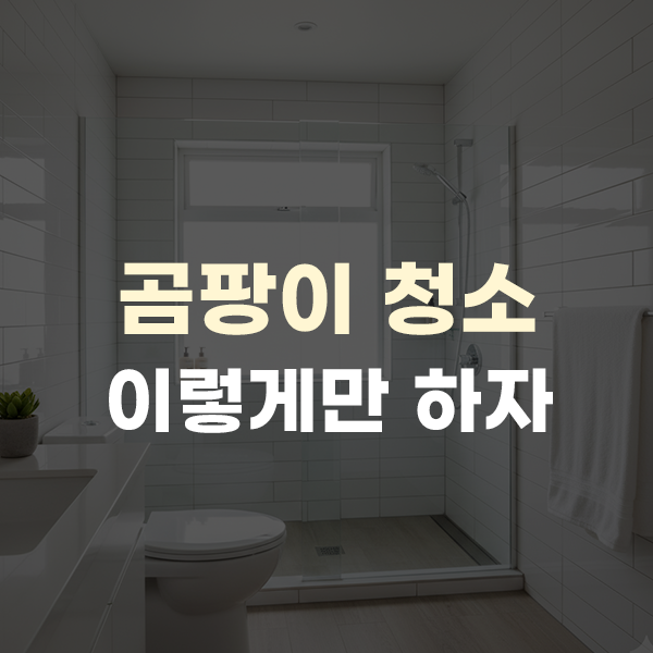  곰팡이 청소, 욕실, 화장실, 냉장고 이렇게만 하자