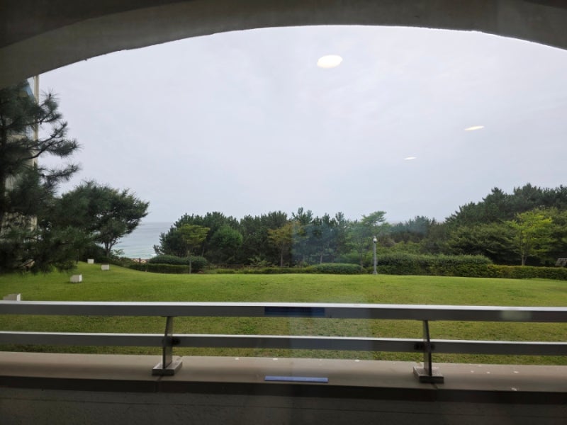 펫 프렌들리 호텔