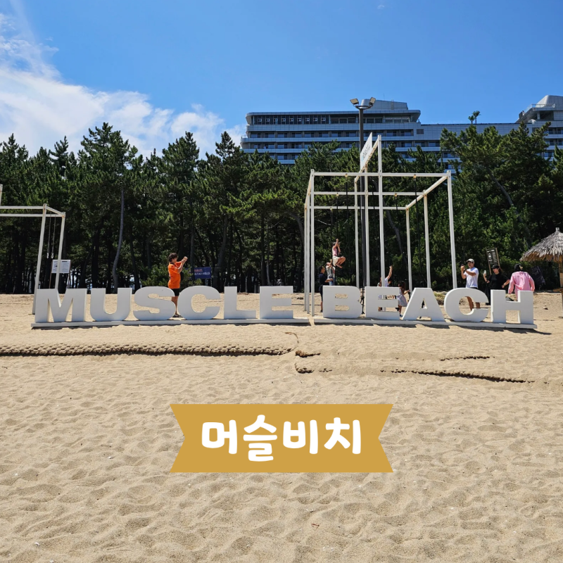 [강원] 강릉 강문해변 머슬비치 무브먼트링 위치 가볼만한곳
