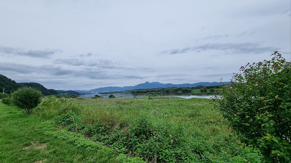 산내들펜션 사진 5