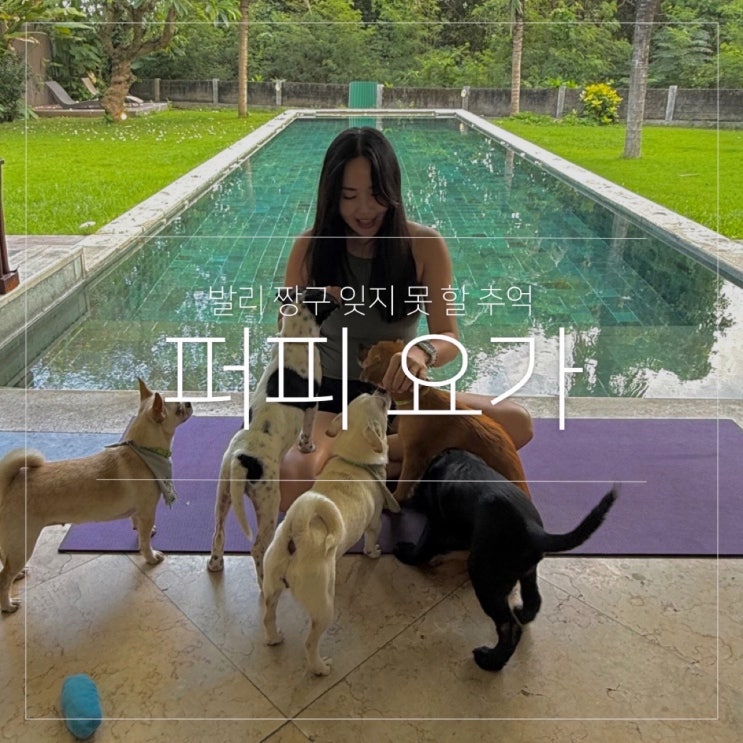  발리 짱구 강아지 퍼피 요가 Puppy Yoga 후기 가격 예약 방법