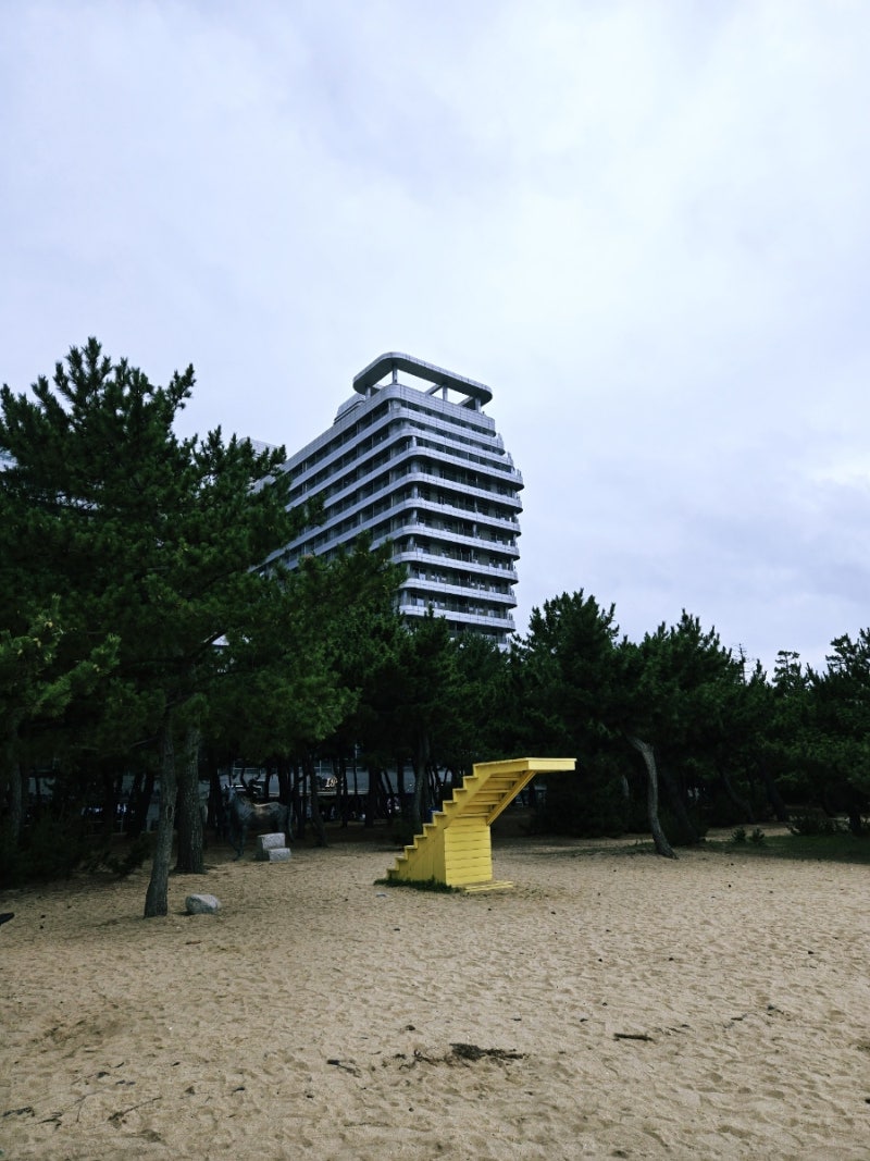 강릉 세인트존스 호텔 먹거리, 놀거리