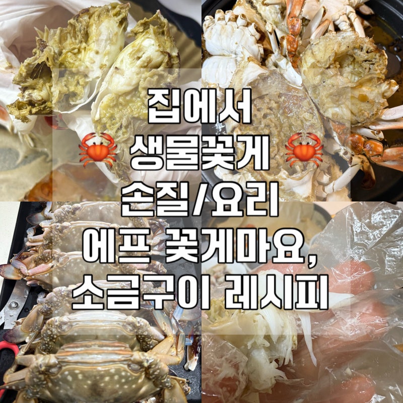집에서 "생물꽃게 손질법 + 에어프라이어 꽃게마요, 소금꽃게구이 레시피" (꽃게 기생충? 게....