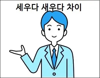 세우다 새우다 차이 정확하게 구분하기