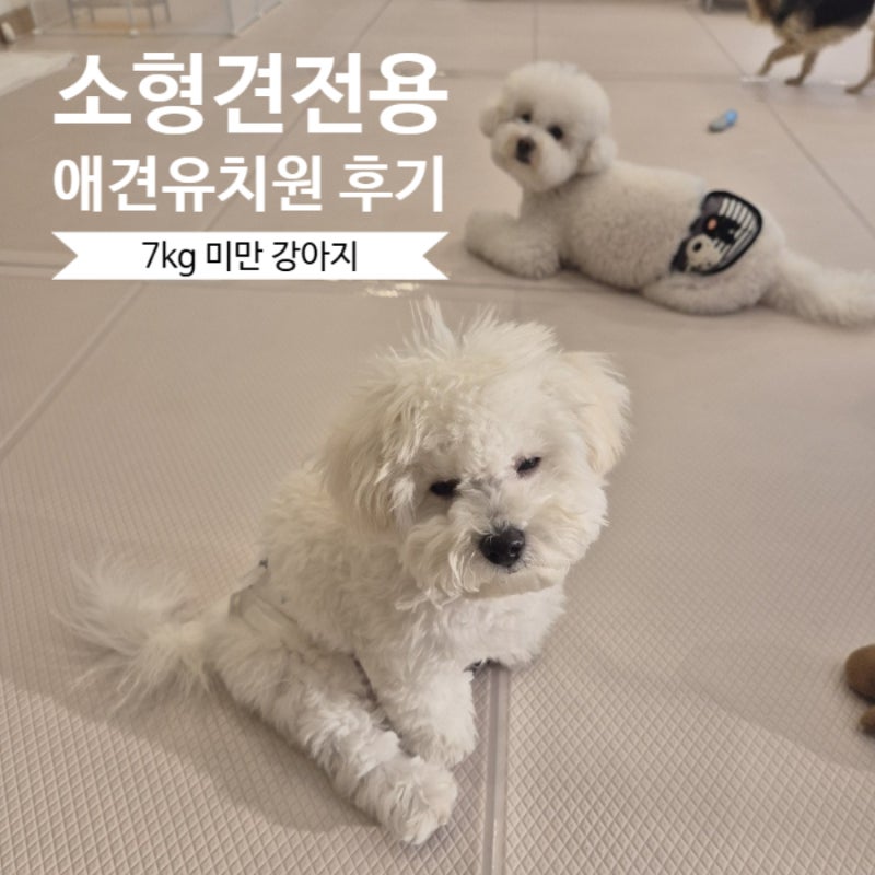 사진 2