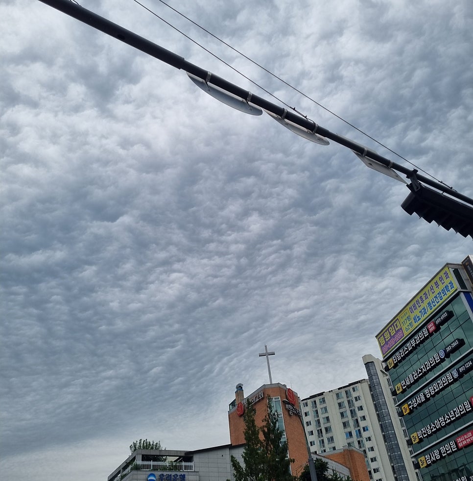 제주우다 사진 1