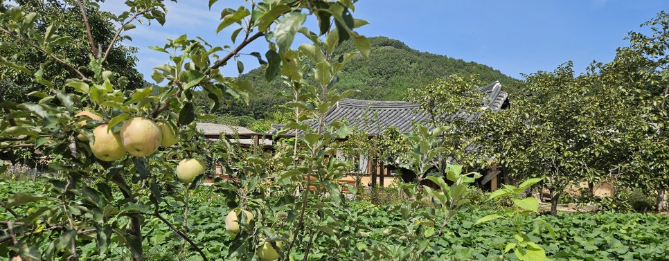 한지붕갈비 사진 1