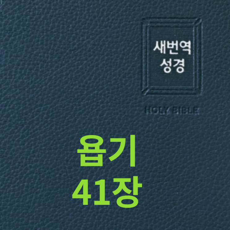 욥기 41장