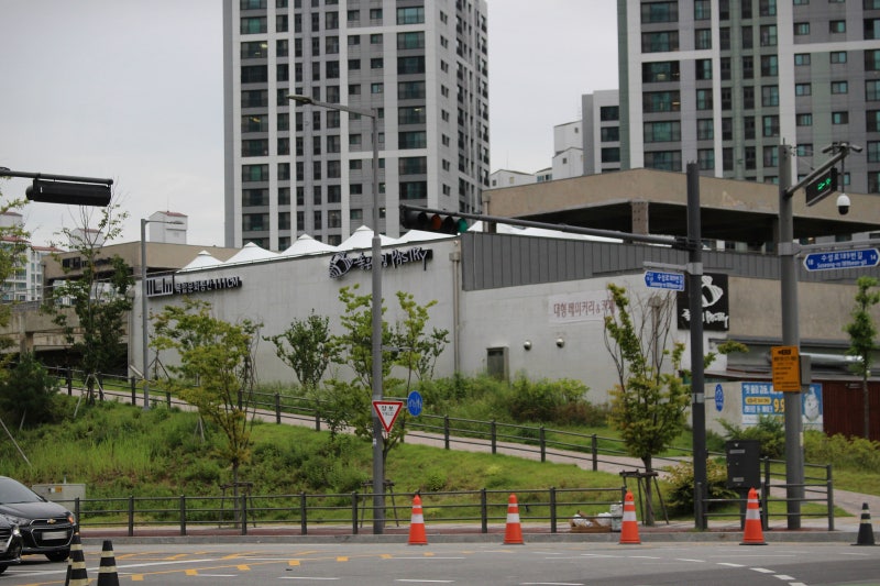 사진 10