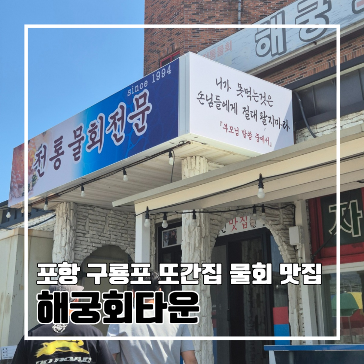 포항 구룡포 포항 전통 물회 맛집 또간집 해궁회타운 l 쯔양 맛집 주차 내돈내산