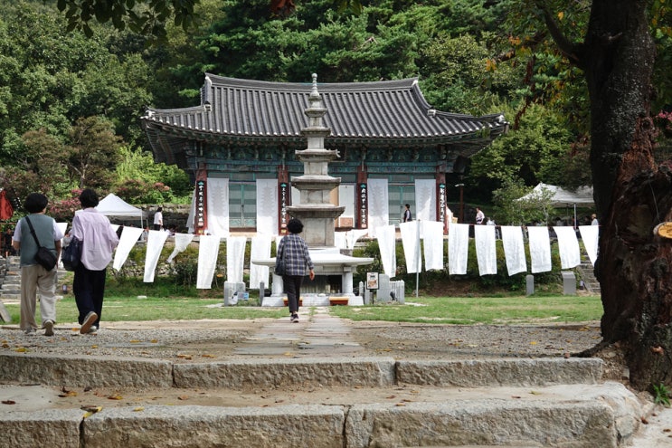  공주 신원사 백중기도 풍경, RX100 M6