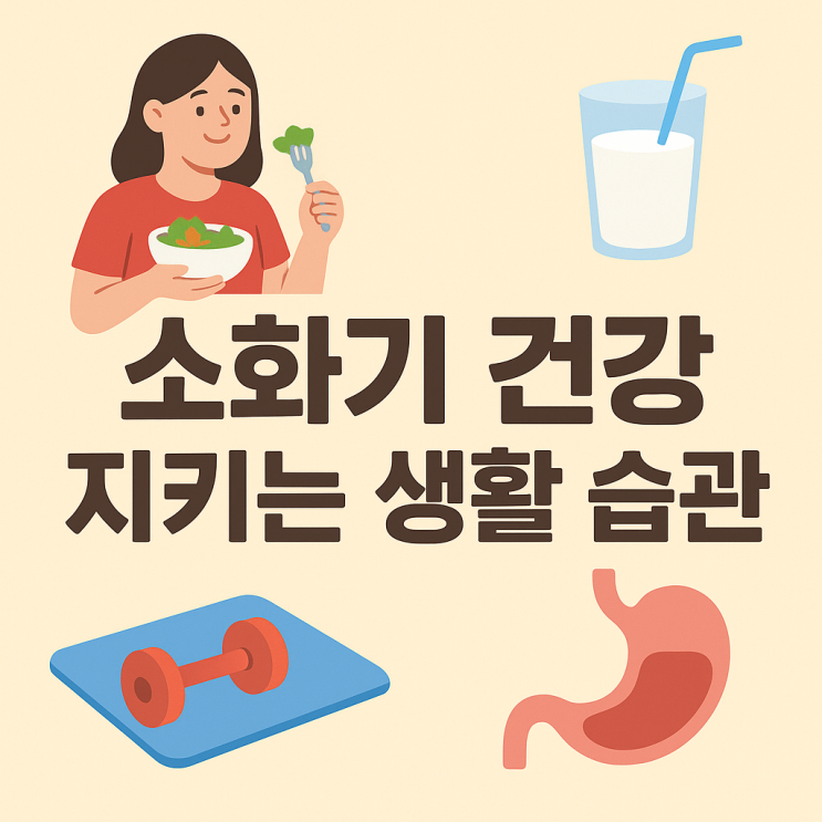  소화기 건강 지키는 생활 습관 총정리