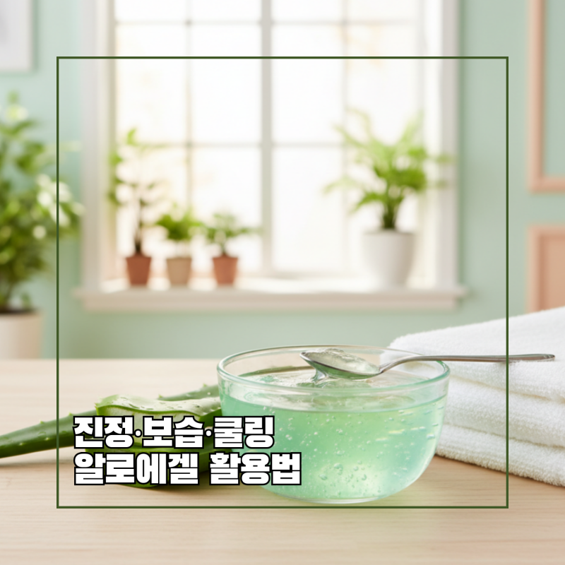 알로에겔 효능과 알로에팩만들기, 집에서 즐기는 쿨링 홈케어