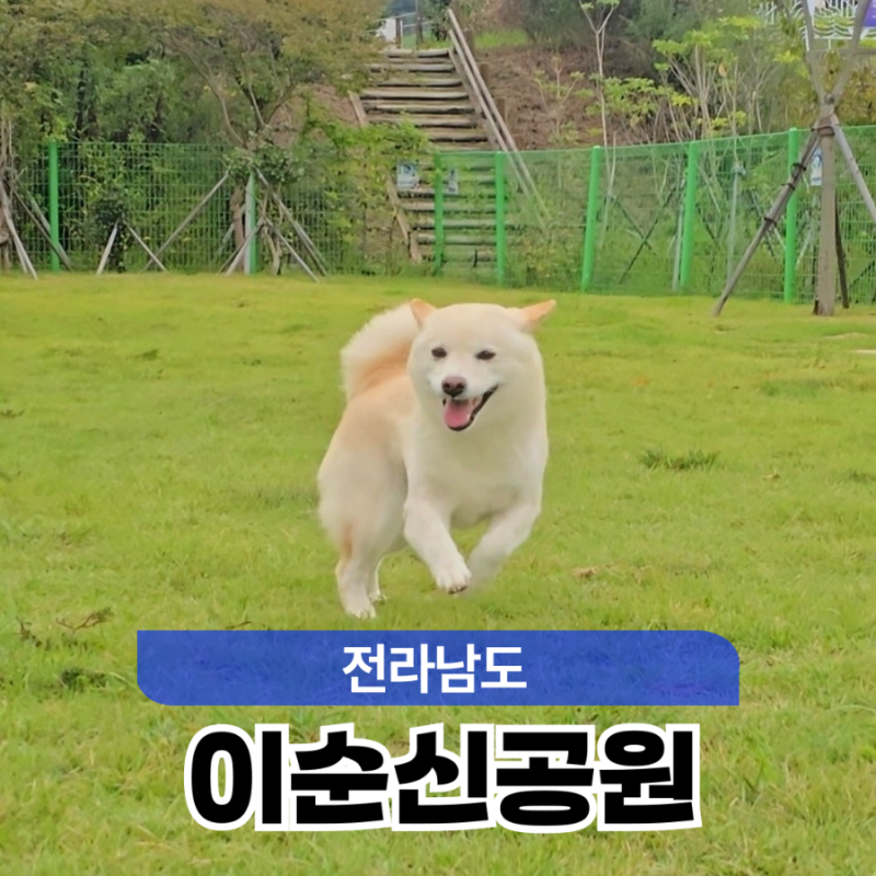 사진 3