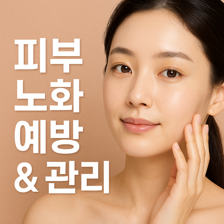  피부 노화 예방 & 관리 총정리