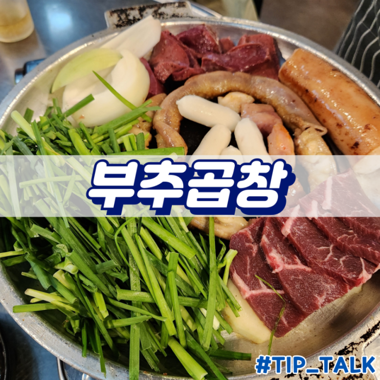  혜화 곱창 맛집 부추곱창 대학로점 내돈내산
