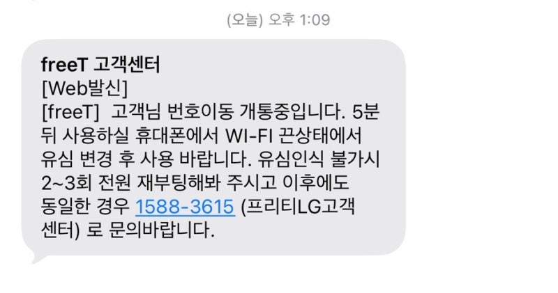 프리티텔레콤 LGU+ 셀프개통 유심구매 오류 해결(데이터를 찾을 수 없습니다)