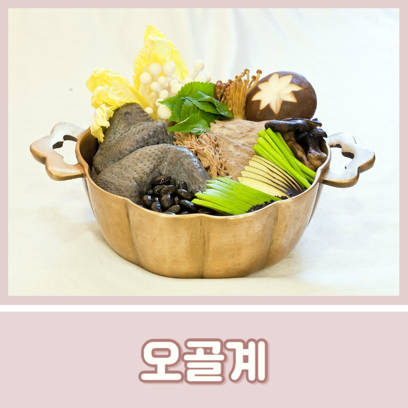 오골계 효능 단백질 칼로리 섭취방법 활용법