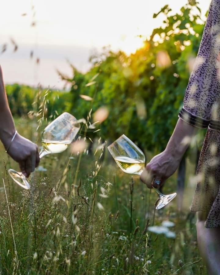  부르고뉴 감성, Kistler Chardonnay (키슬러 샤도네이)