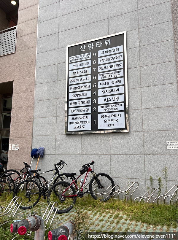  부산 강서구 아이랑 갈만한 곳 명지 앵무새카페 <버드소리 명지점> 다녀온 솔직 후기