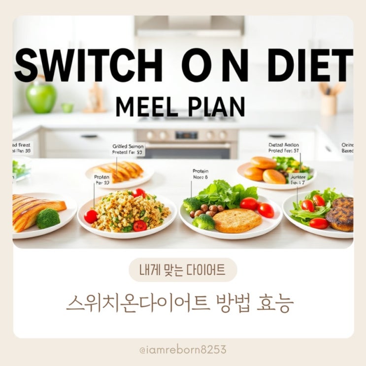  스위치온다이어트 실패없는  대사활성 비밀로 요요 안녕