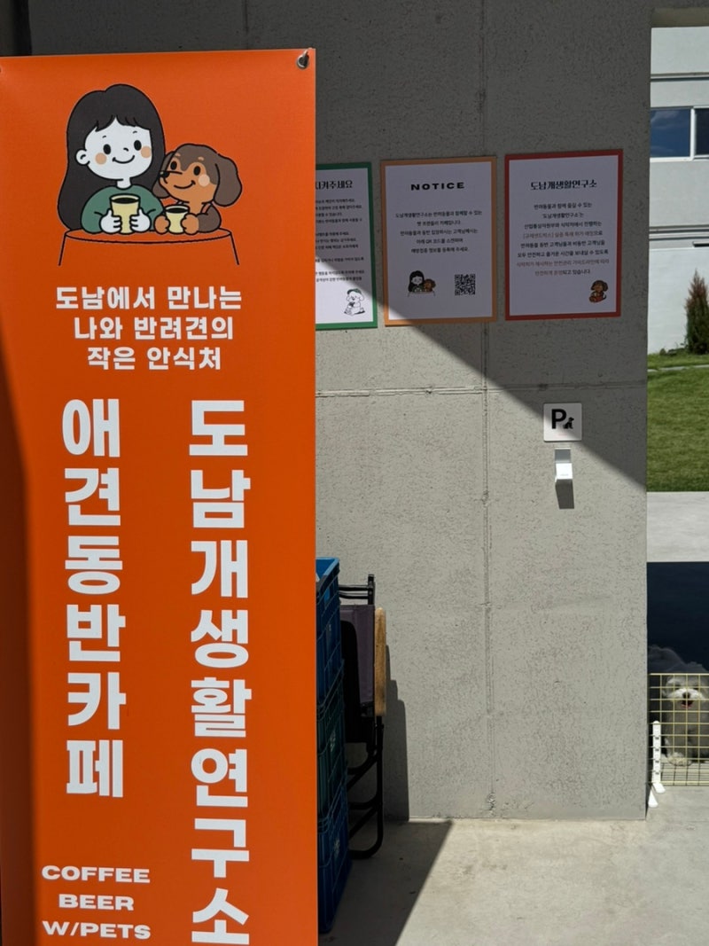 사진 3