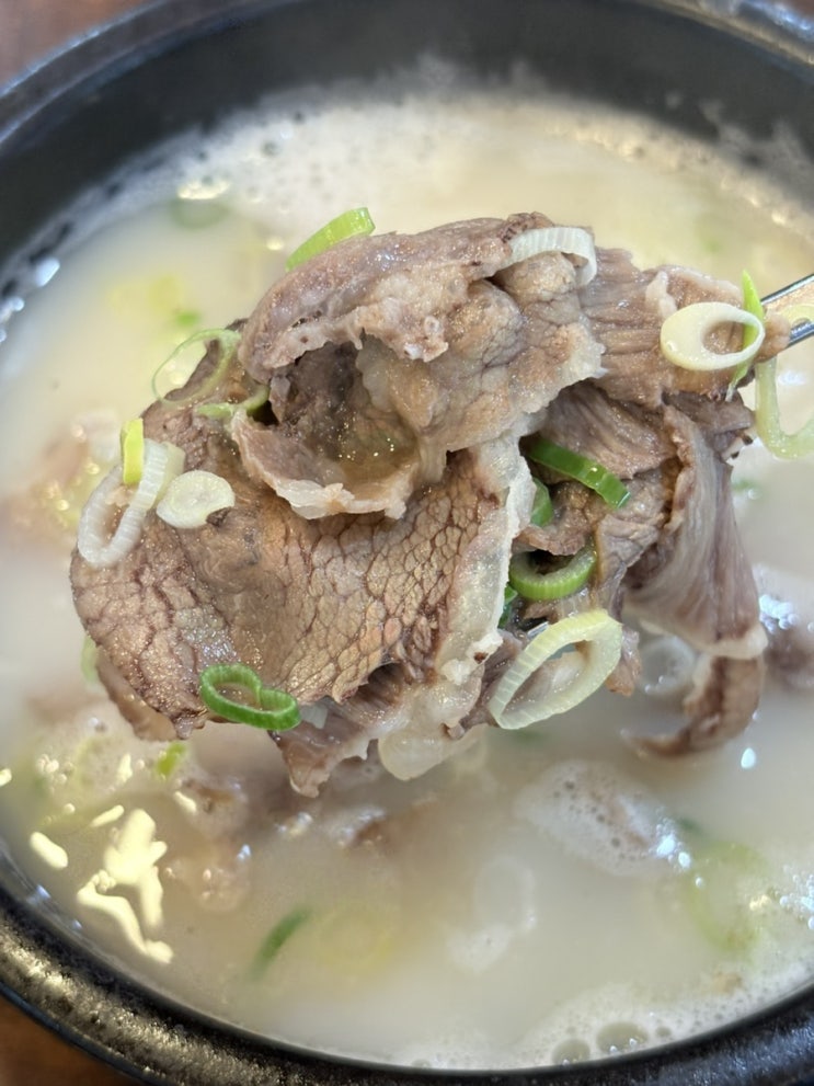  포항 남구 문덕밥집 맛집 추천 장수촌꼬리곰탕 포항본점