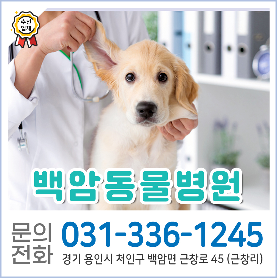 백암동물병원 사진 1