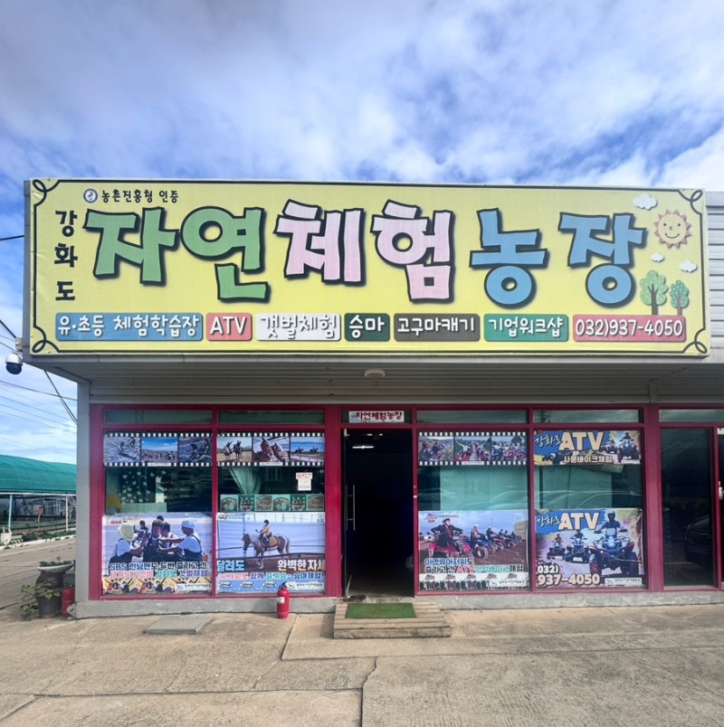 [일상.육아] 강화도 고구마캐기 체험/ 동물 먹이주기 /강화도 자연체험농장