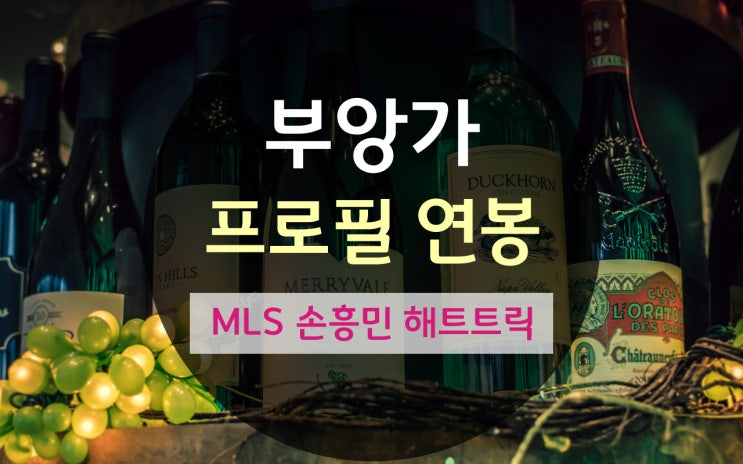 부앙가 프로필 연봉, MLS 손흥민 <b>해트트릭 뜻</b> 영어로