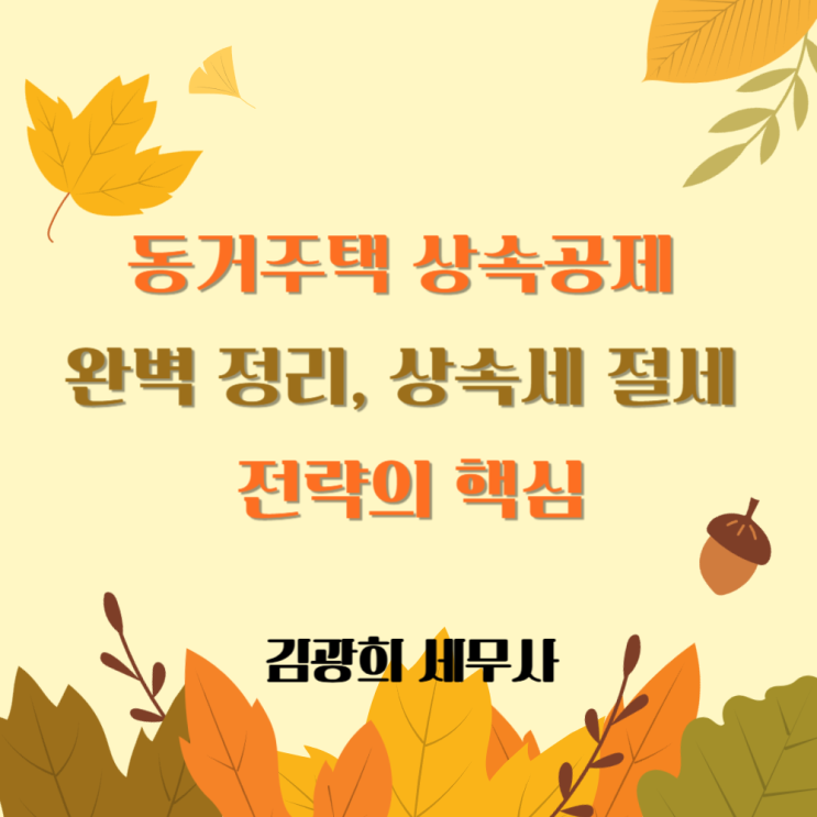 동거주택 상속공제 요건 완벽 정리, 상속세 절세 전략의 핵심