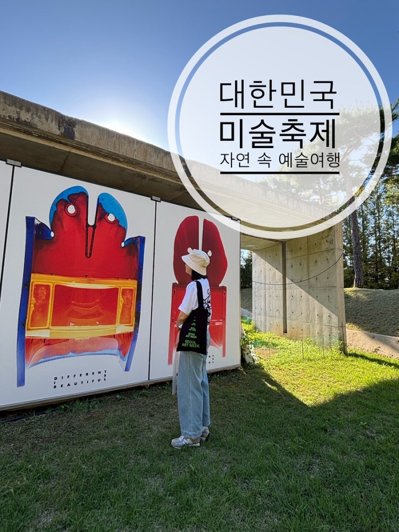 사진 5