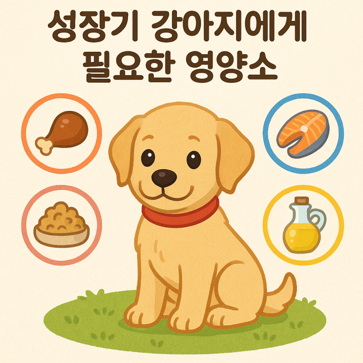  성장기 강아지에게 꼭 필요한 영양소 총정리
